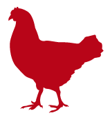Csirke termékek